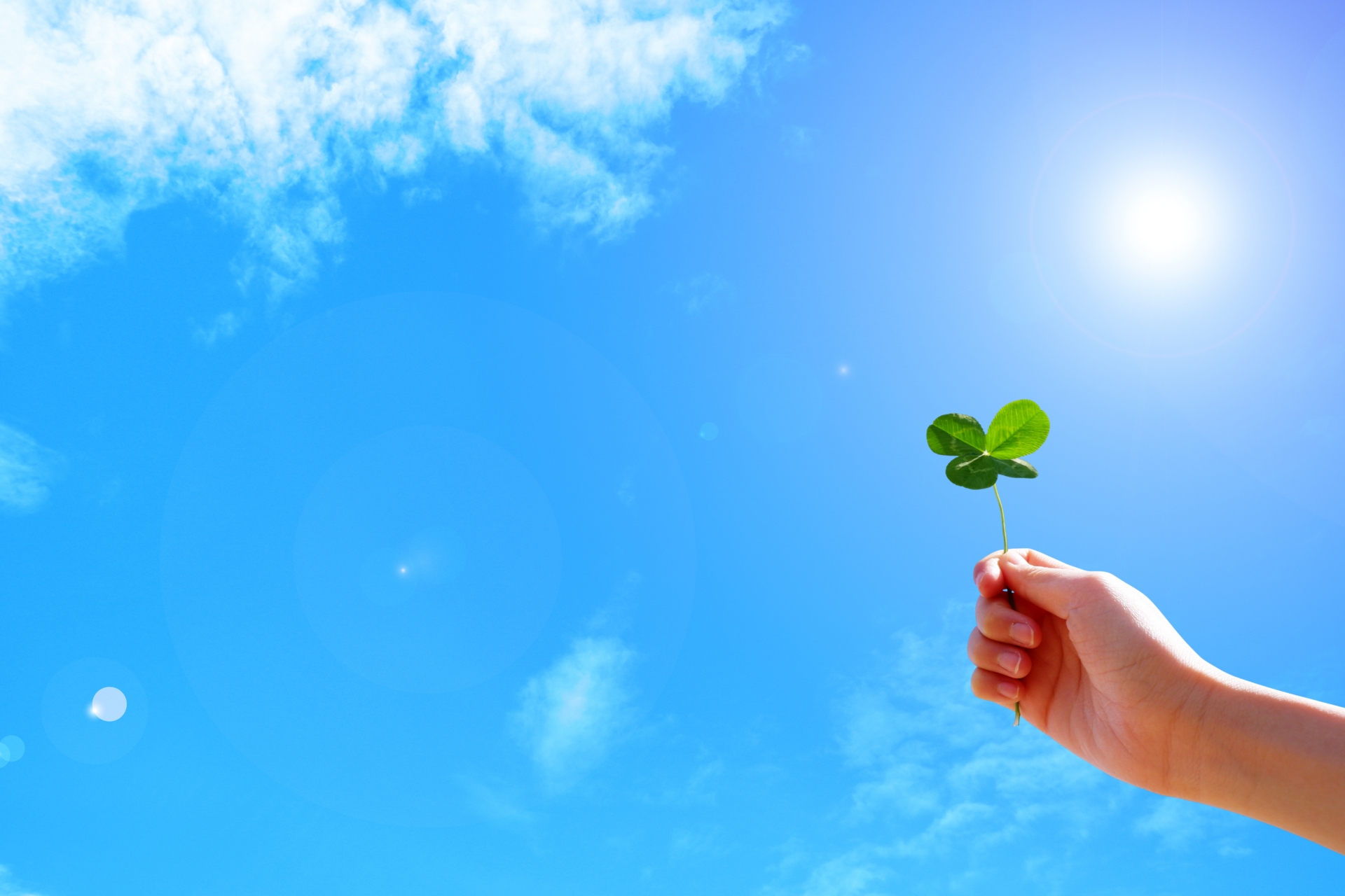 行政書士事務所　Ｌ＆ＨＰａｒｔｎｅｒｓ